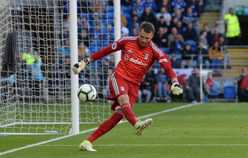 Cardiff City v Fulham FC - Premier League