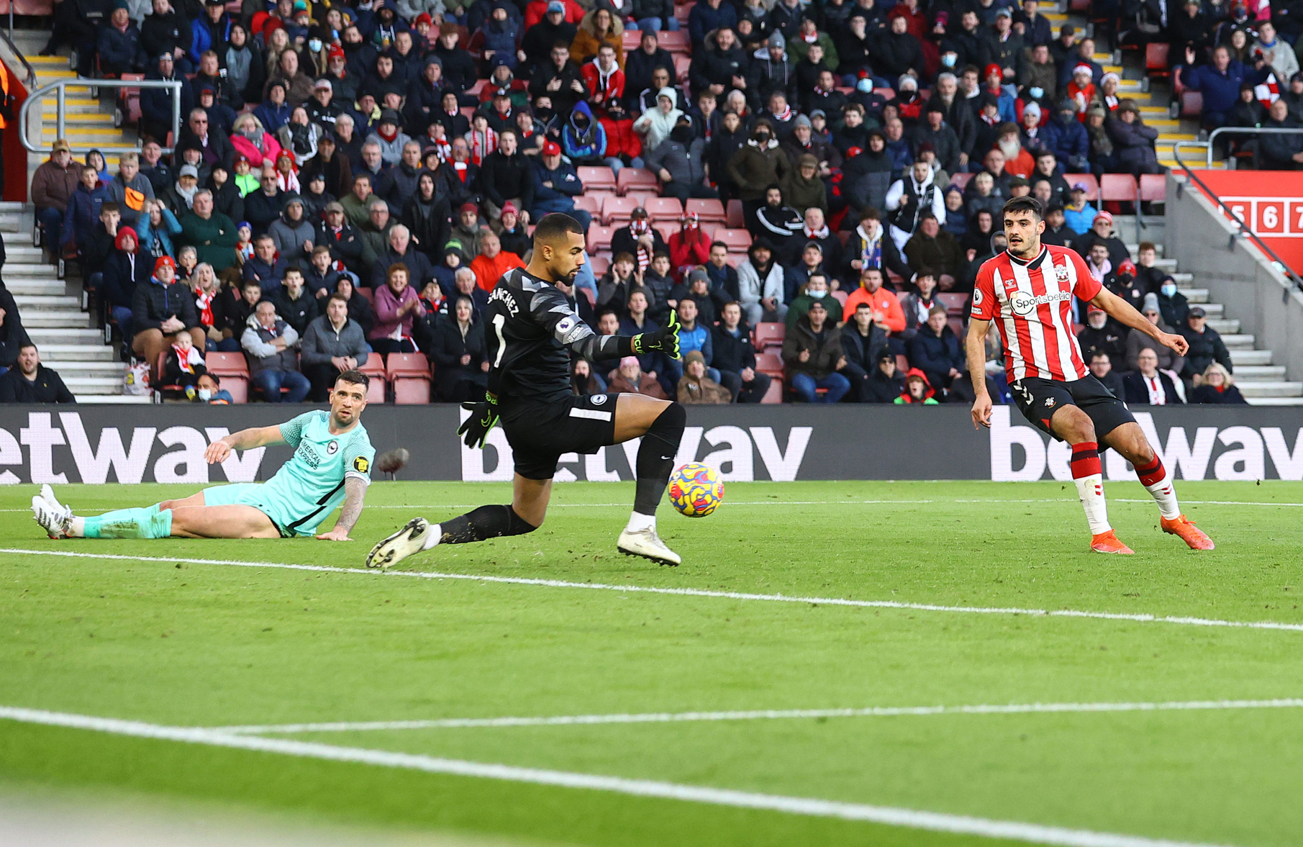 Photo by Matt Watson/Southampton FC via Getty Images