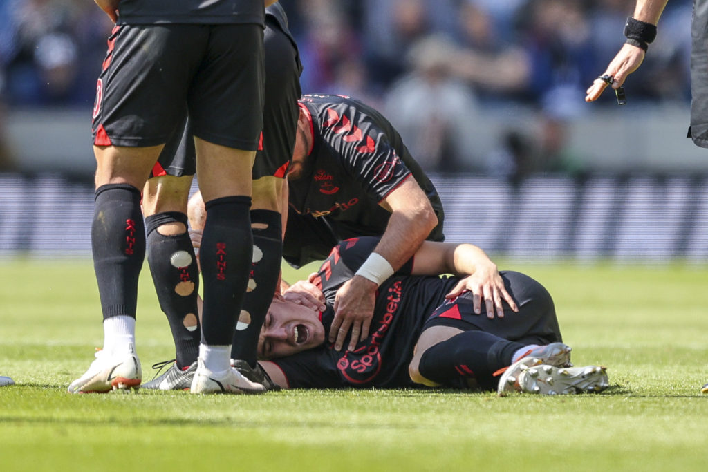 Brighton & Hove Albion v Southampton - Premier League