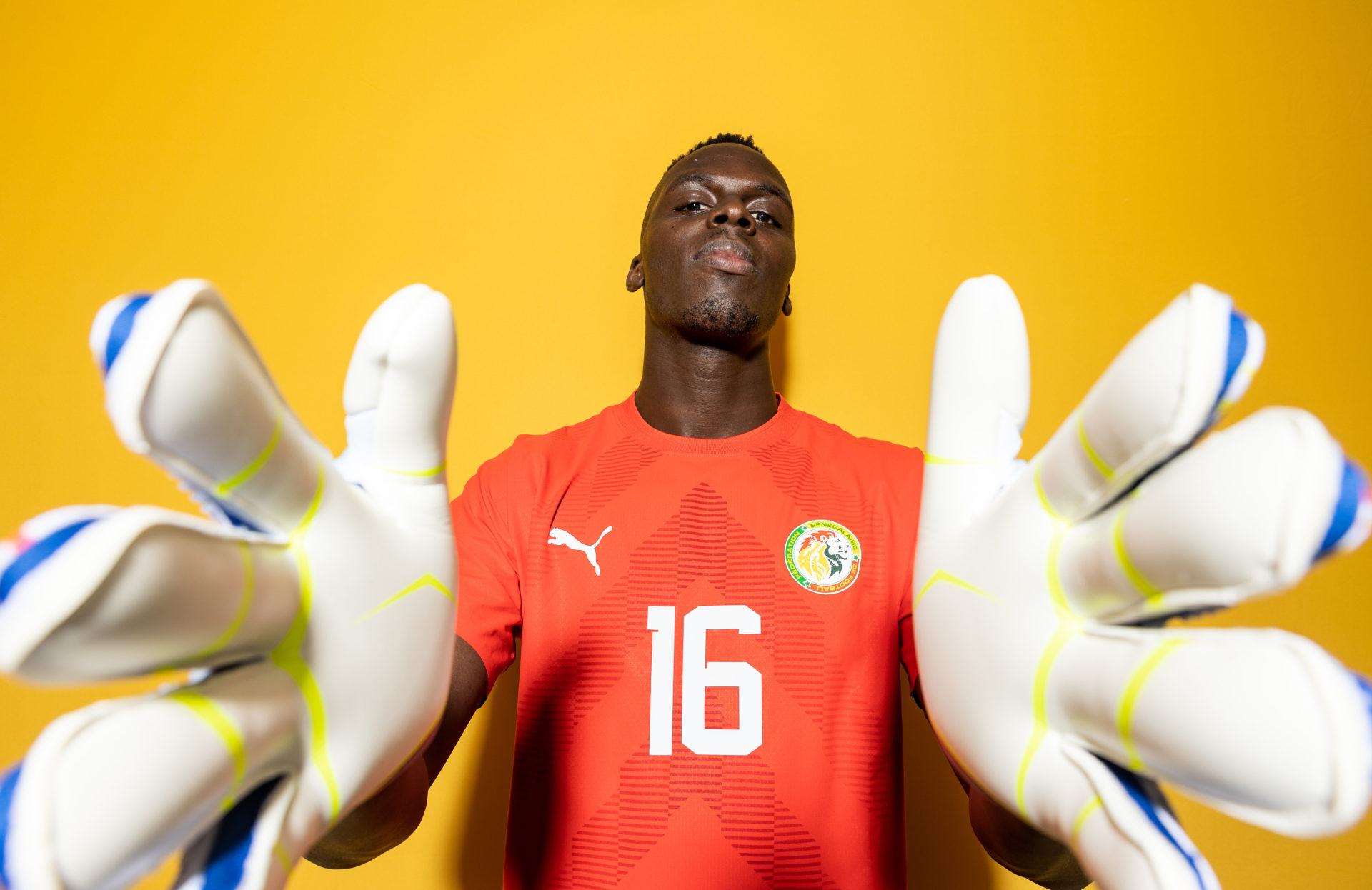Senegal Portraits - FIFA World Cup Qatar 2022