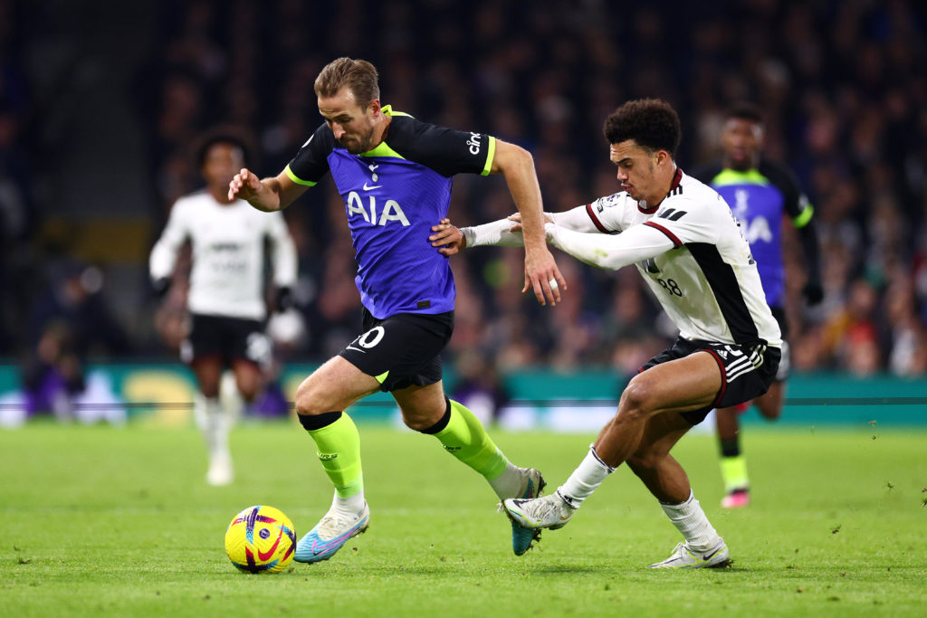 Fulham FC v Tottenham Hotspur - Premier League