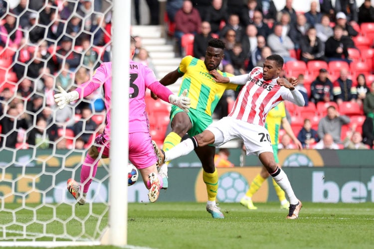 Photo by Adam Fradgley/West Bromwich Albion FC via Getty Images