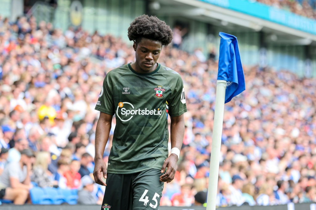 Brighton & Hove Albion v Southampton FC - Premier League