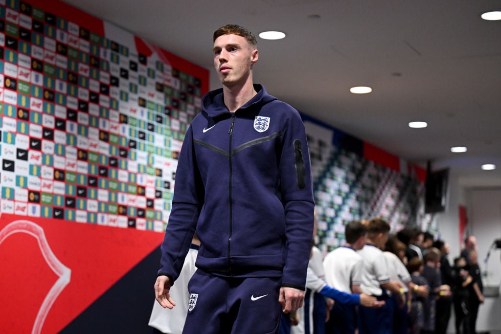 England v Brazil - International Friendly