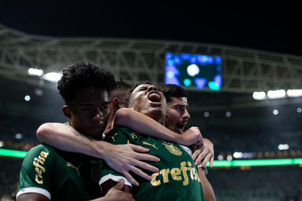 S.E Palmeiras v Botafogo F.C - Copa do Brasil 2024