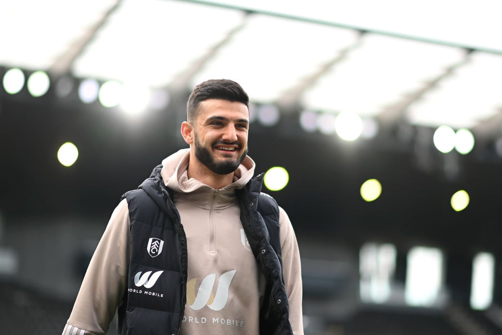Fulham FC v Newcastle United - Premier League