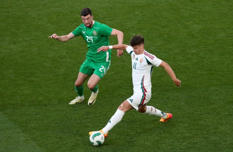 Photo By Michael P Ryan/Sportsfile via Getty Images