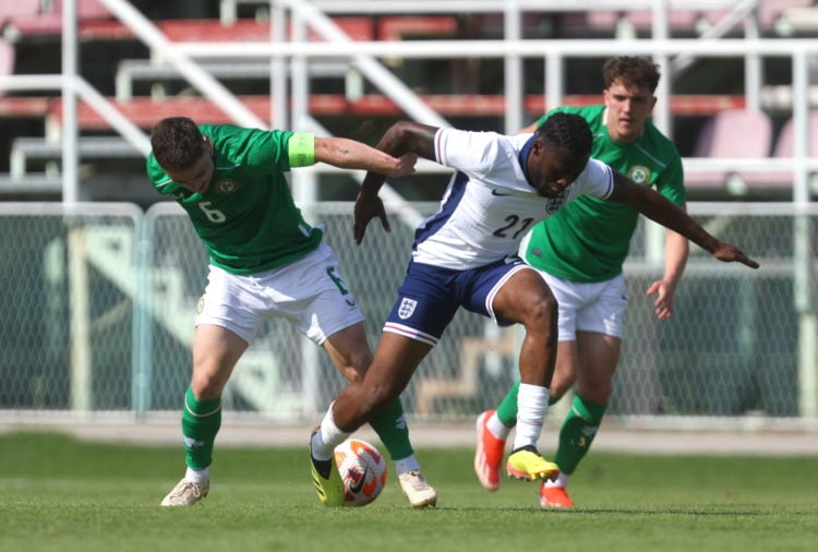 Photo By Vid Ponikvar/Sportsfile via Getty Images