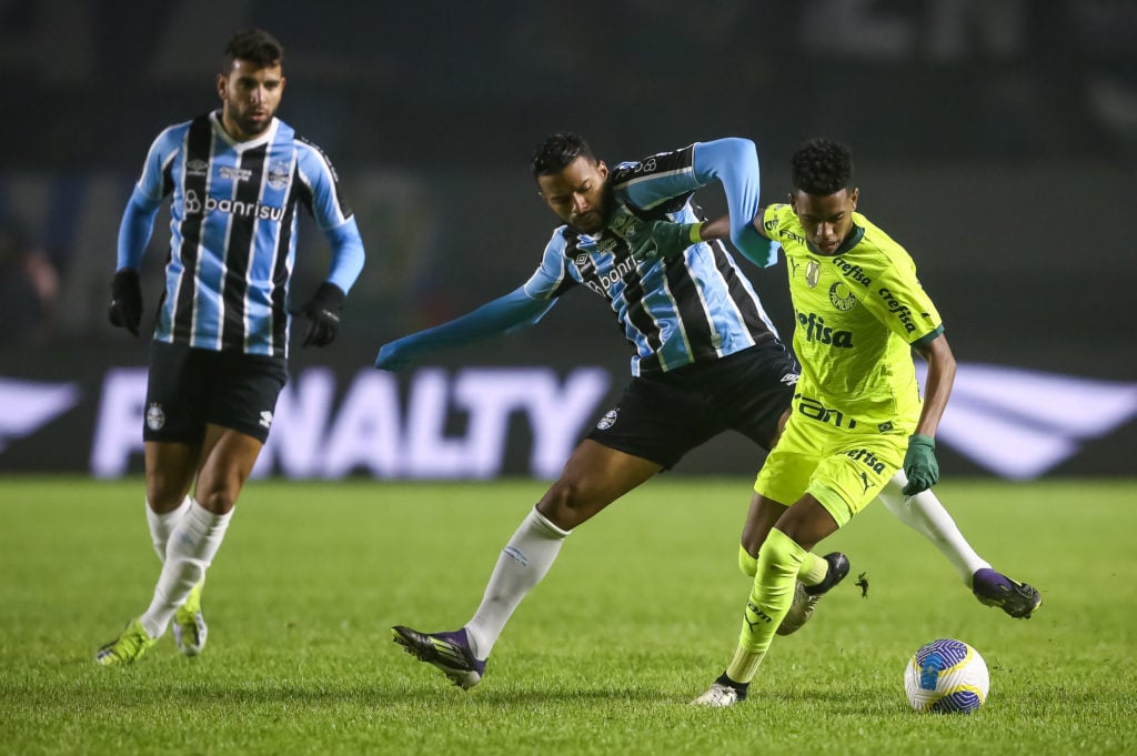 Gremio v Palmeiras - Brasileirao 2024