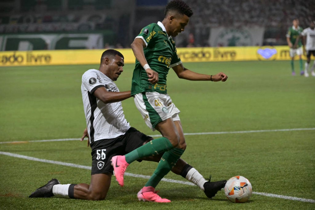 FBL-LIBERTADORES-PALMEIRAS-BOTAFOGO