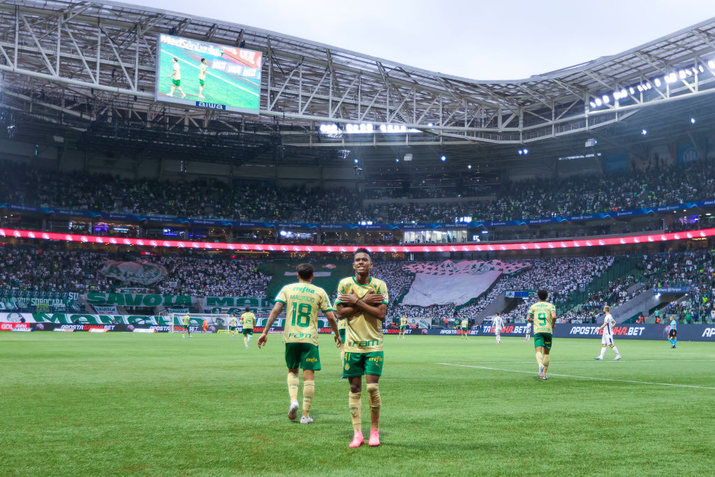 Palmeiras v Criciuma - Brasileirao 2024