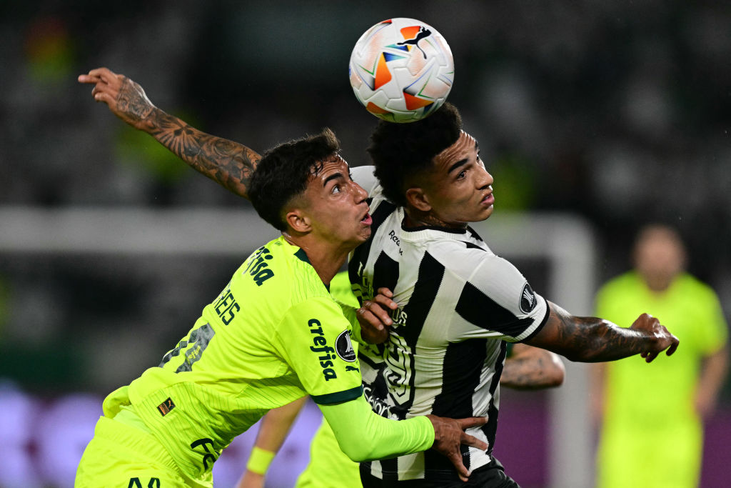 FBL-LIBERTADORES-BOTAFOGO-PALMEIRAS