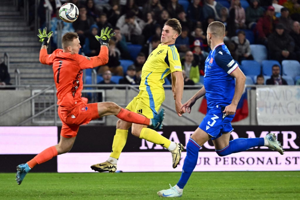 FBL-EUR-NATIONS-SVK-SWE