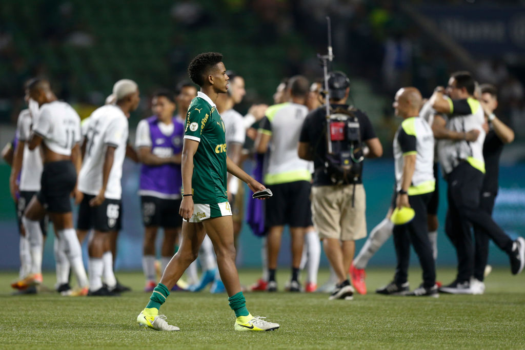 Palmeiras v Botafogo - Brasileirao 2024
