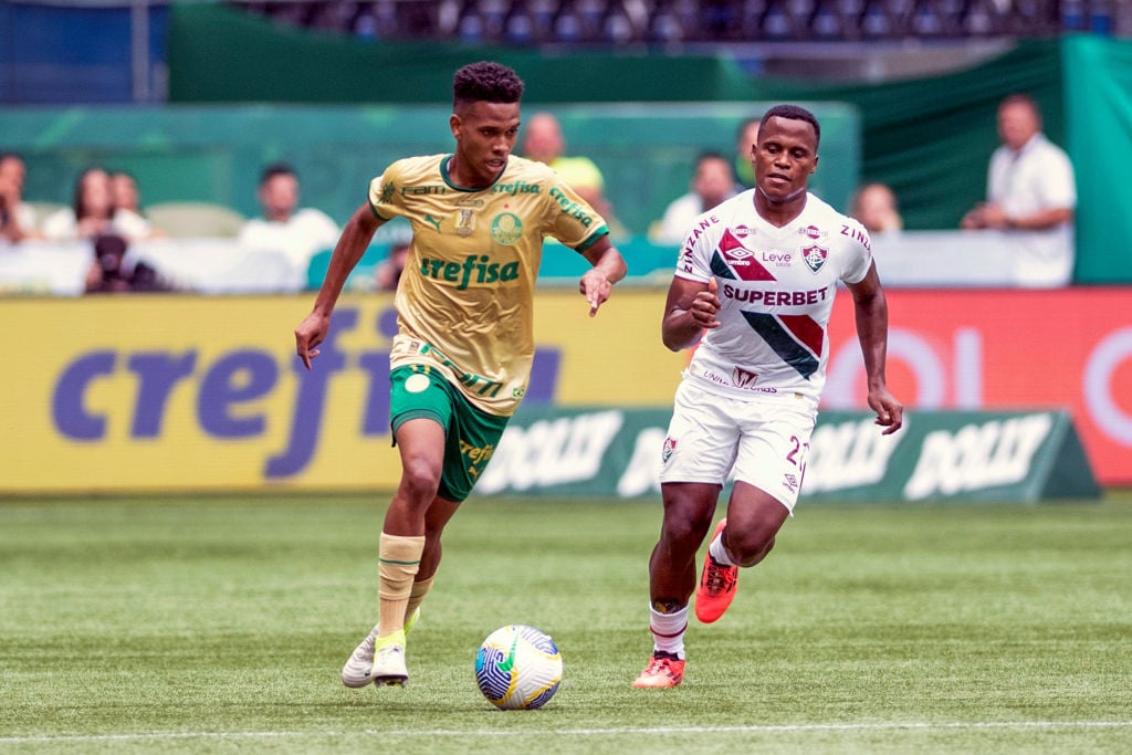 Palmeiras v Fluminense - Brasileirao 2024