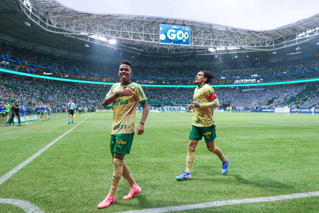 Palmeiras v Criciuma - Brasileirao 2024