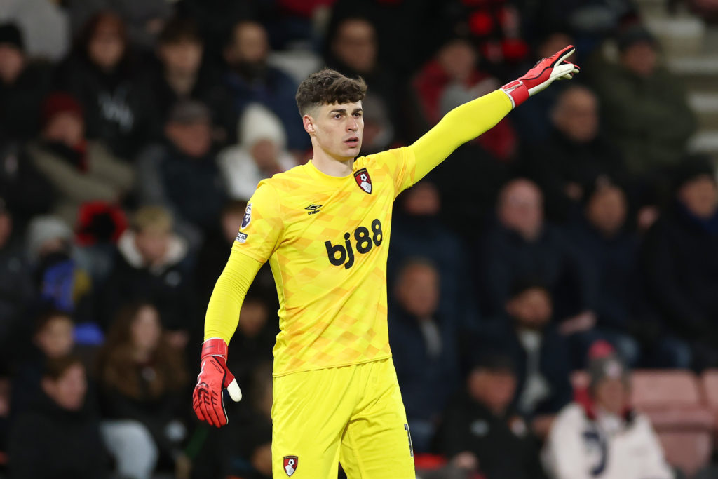 AFC Bournemouth v Brentford FC - Premier League