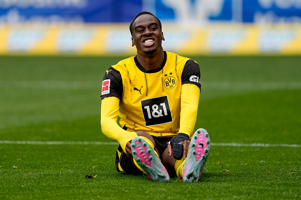 TSG 1899 Hoffenheim v Borussia Dortmund - Bundesliga