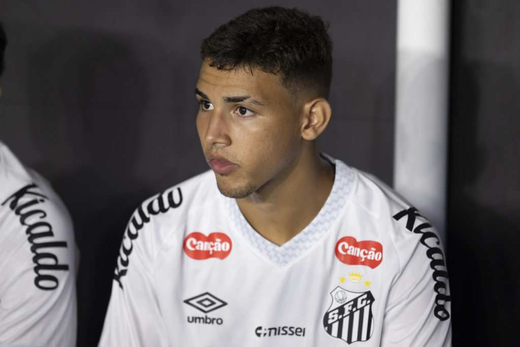 Vasco Da Gama v Santos - Brasileirao 2025