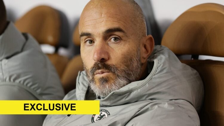 Enzo Maresca in the dugout for Chelsea