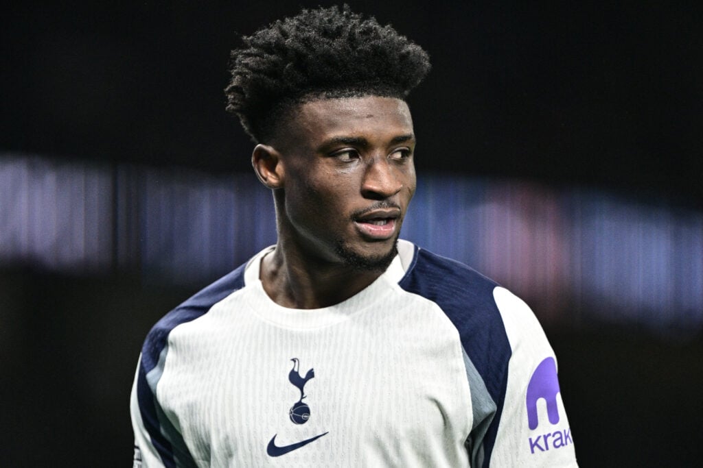 Tottenham Hotspur v Brentford - Premier League