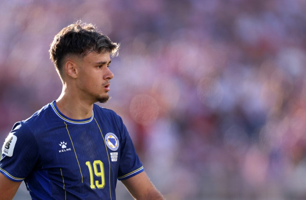 Kerim Alajbegovic of Bosnia And Herzegovina